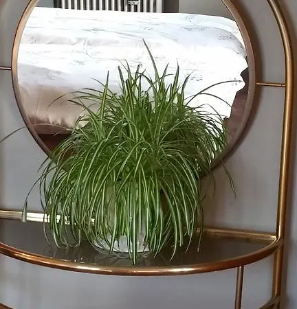 Aan Duin En Zee Candle オステンド