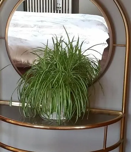 Aan Duin En Zee Candle 奥斯滕德